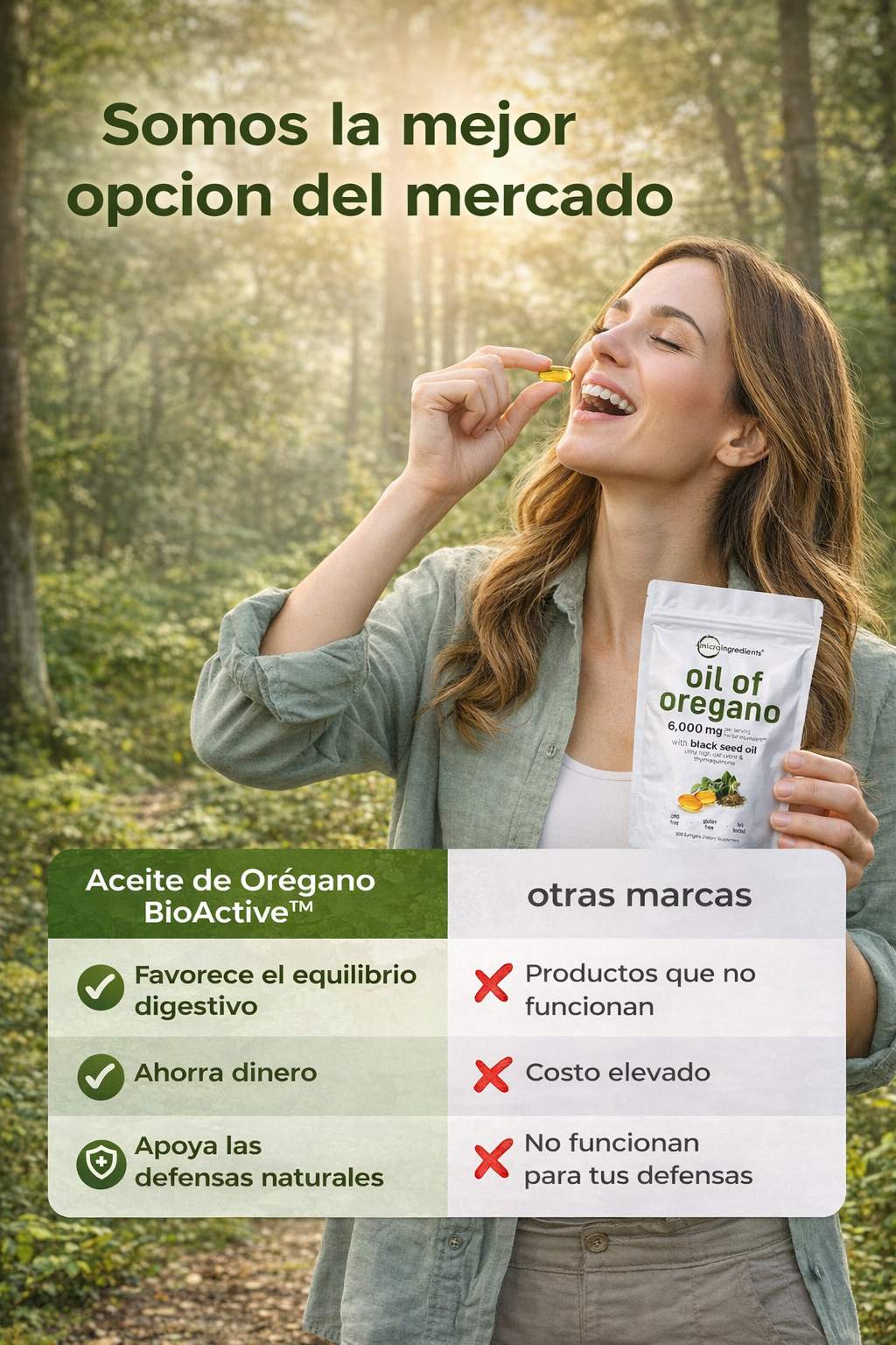 Encabezado